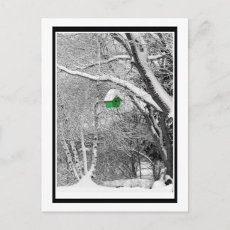 Winter Birdhouse Briefkaart
