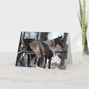 Winter Blanket Kaart