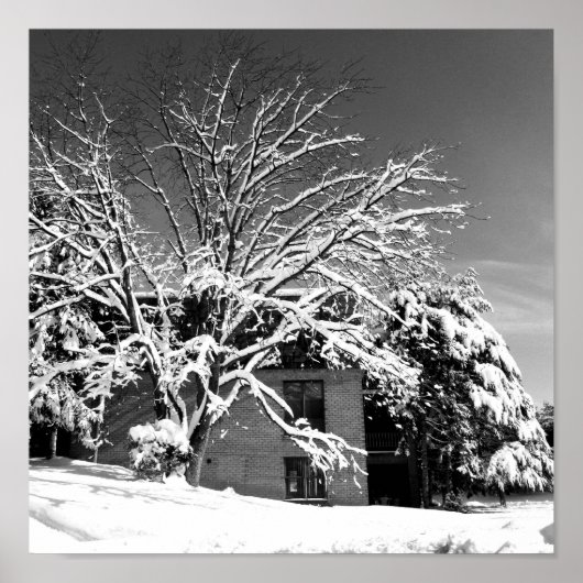 Winter Blast B+W Poster (Voorkant)