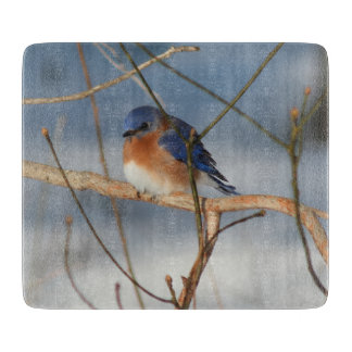 Winter Blauwborst Natuur Snijplank