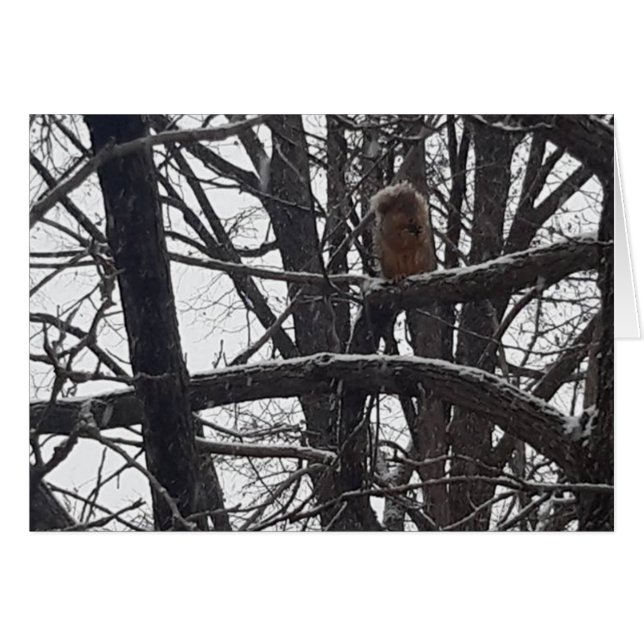 Winter Blessay Seasons WishesCard (Voorkant Horizontaal)