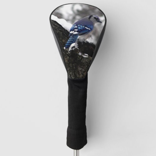 Winter Blue Jay Golfheadcover (Voorkant)