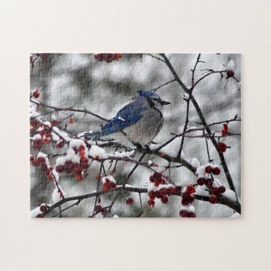 Winter Blue Jay Legpuzzel (Horizontaal)