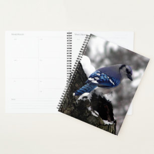 Winter Blue Jay Planner