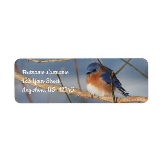 Winter Bluebird Animal Adres Etiket (Voorkant)