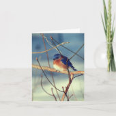 Winter Bluebird Animal Note Kaart (Voorkant)