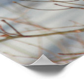 Winter Bluebird Animal Poster (Hoek)