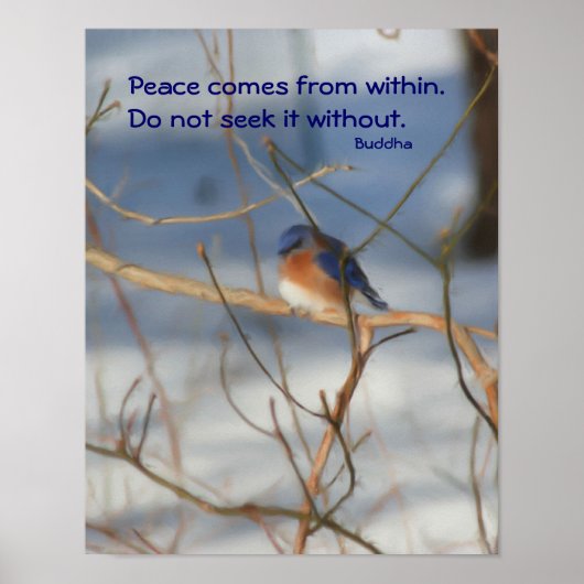 Winter Bluebird Buddha Quote Inspirerend Poster (Voorkant)