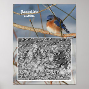 Winter Bluebird gepersonaliseerde Creëer Uw eigen  Poster