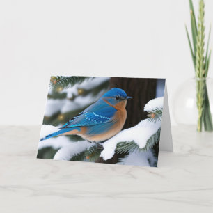 Winter Bluebird Kaart