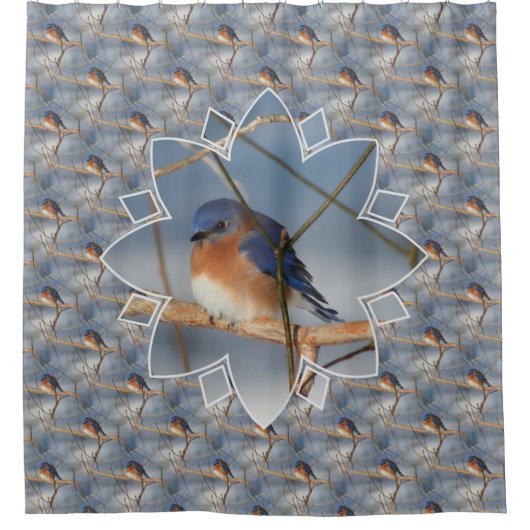 Winter Bluebird Nature Bird Art Pattern  Douchegordijn (Voorkant)