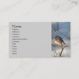 Winter Bluebird Nature Carte de visite
