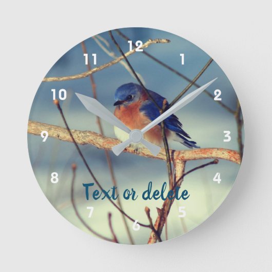 Winter Bluebird Personalized   Ronde Klok (Voorkant)