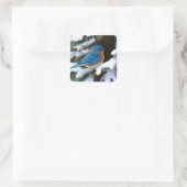 Winter Bluebird Vierkante Sticker (Tas)