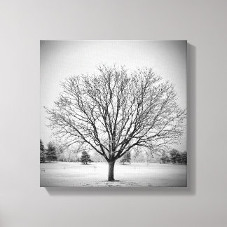 Winter Boom Opgespannen Canvasprint Canvas Afdruk