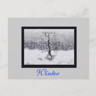 Winter Born Briefkaart