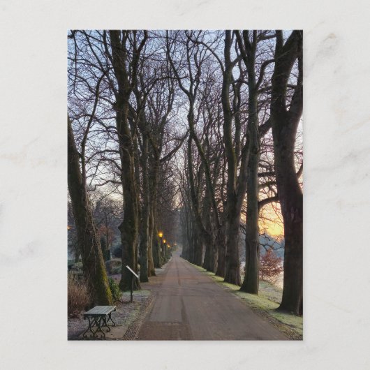 Winter Briefkaart (Voorkant)