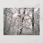 Winter Briefkaart (Voorkant)