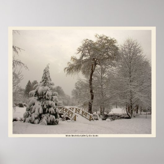 Winter Brug Kunstprint Winter Bos Poster (Voorkant)