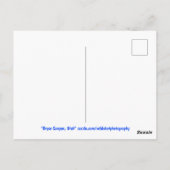 Winter Bryce Canyon National Park Utah Briefkaart (Achterkant)