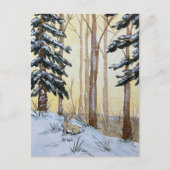 Winter Bunny Postcard Briefkaart (Voorkant)