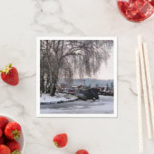 WINTER CANAL SERVETTEN (Insitu)