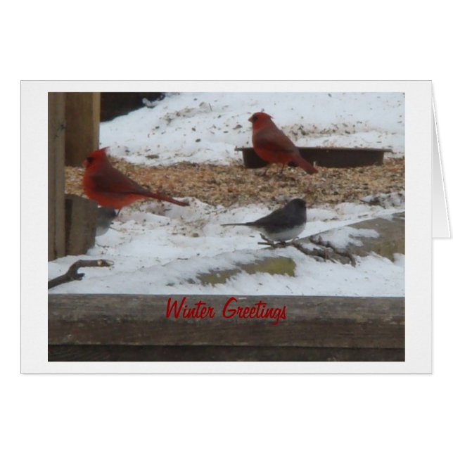 Winter Cardinals & Junco (Voorkant Horizontaal)
