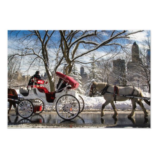 Winter Carriage Horses in Central Park Foto Afdruk (Voorkant)