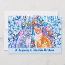 Winter Cats Funny Holiday Pun kerstkaart