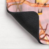 Winter Cedar Waxwing Wildlife Natuur Muismat (Hoek)