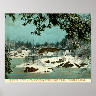 Winter, Cemtral Park, New York City  Poster