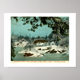 Winter, Cemtral Park, New York City  Poster