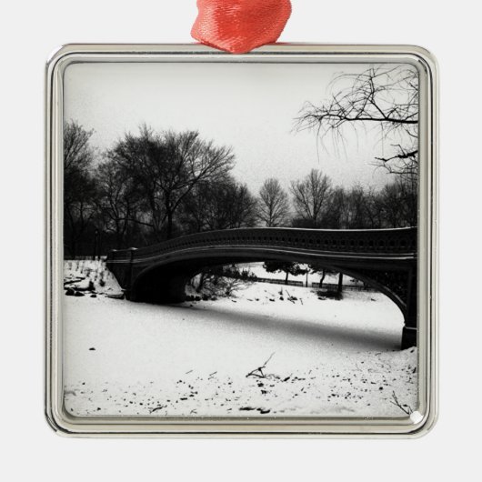 Winter Centeral Park NYC. Metalen Ornament (Voorkant)