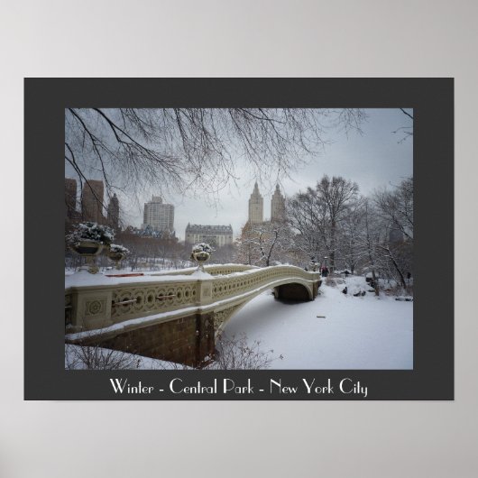 Winter - Central Park - New York City Poster (Voorkant)