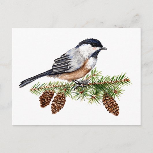 Winter Chickadee Briefkaart (Voorkant)