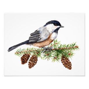 Winter Chickadee Foto Afdruk