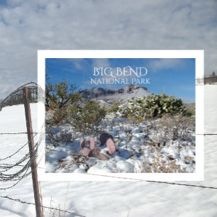 Winter, Chisos gebergte, Big Bend Nationaal Park Briefkaart