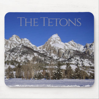 Winter Cross-Country in Grand Teton National Park Muismat
