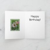 Winter Daisy Verjaardag Kaart (Binnen)