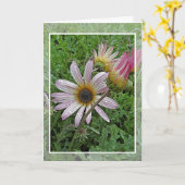 Winter Daisy Verjaardag Kaart (Gele Bloem)