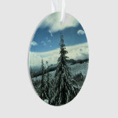 Winter dans la Tillamook State Forest, Oregon (devant)