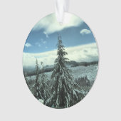 Winter dans la Tillamook State Forest, Oregon (devant)