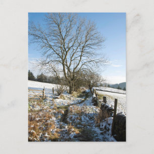 Winter De Macclesfield Forest Card Briefkaart