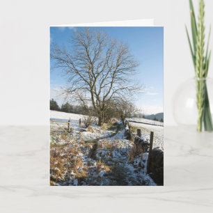 Winter De Macclesfield Forest Card Kaart