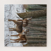 Winter Deer 20x20 uitdagend Legpuzzel (Horizontaal)