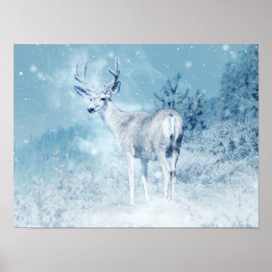 Winter Deer en Pine Trees Poster (Voorkant)