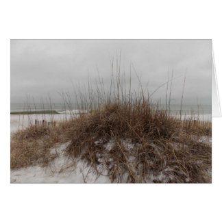Winter Dunes