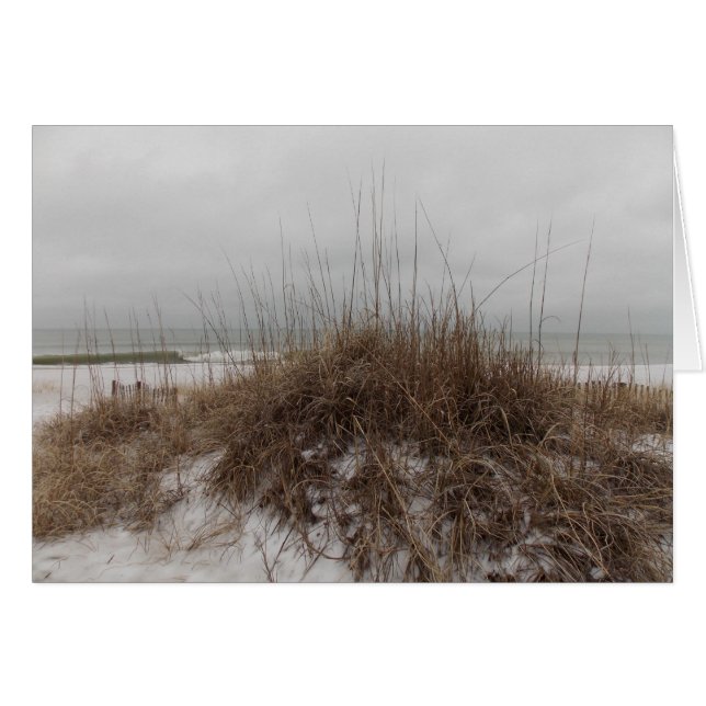 Winter Dunes (Voorkant Horizontaal)