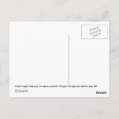 Winter Eagle Briefkaart (Achterkant)