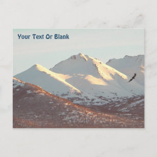 Winter Eagle Briefkaart